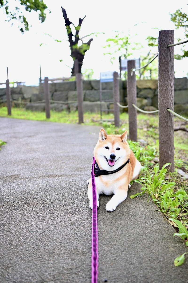 jajagi7jajagi's tweet photo. おはようございます https://t.co/2bP548vuhG