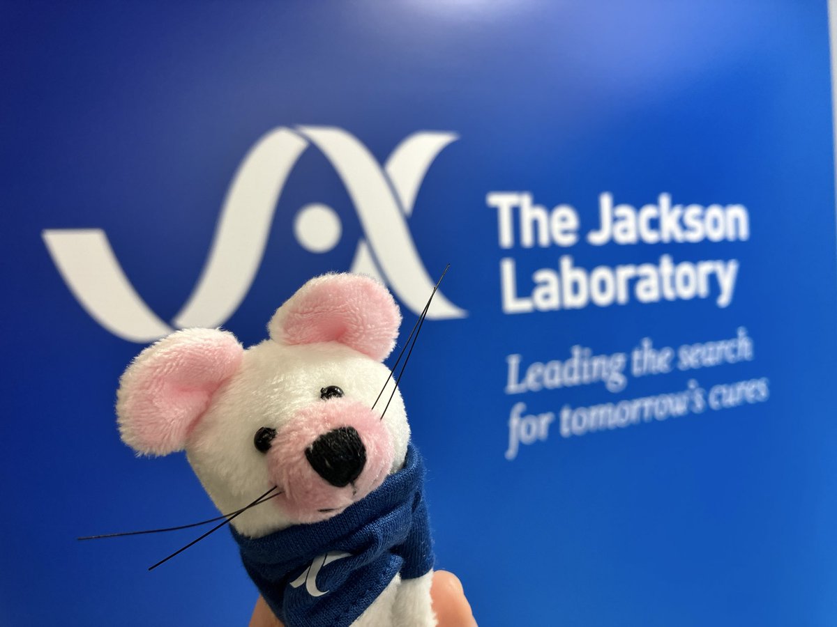 JAX_Japan's tweet photo. おはようございます🐭
癌学会最終日ですね。メールニュース登録でマウスマグネットをプレゼント!🎁残り僅かです✨
📅9/24(木)〜26(土)
📍国立京都国際会館 イベントホール ブースE-29
#国立京都国際会館 #日本癌学会 #JCA85 #JAXJapan #ライフサイエンス https://t.co/59zUnX4kdd