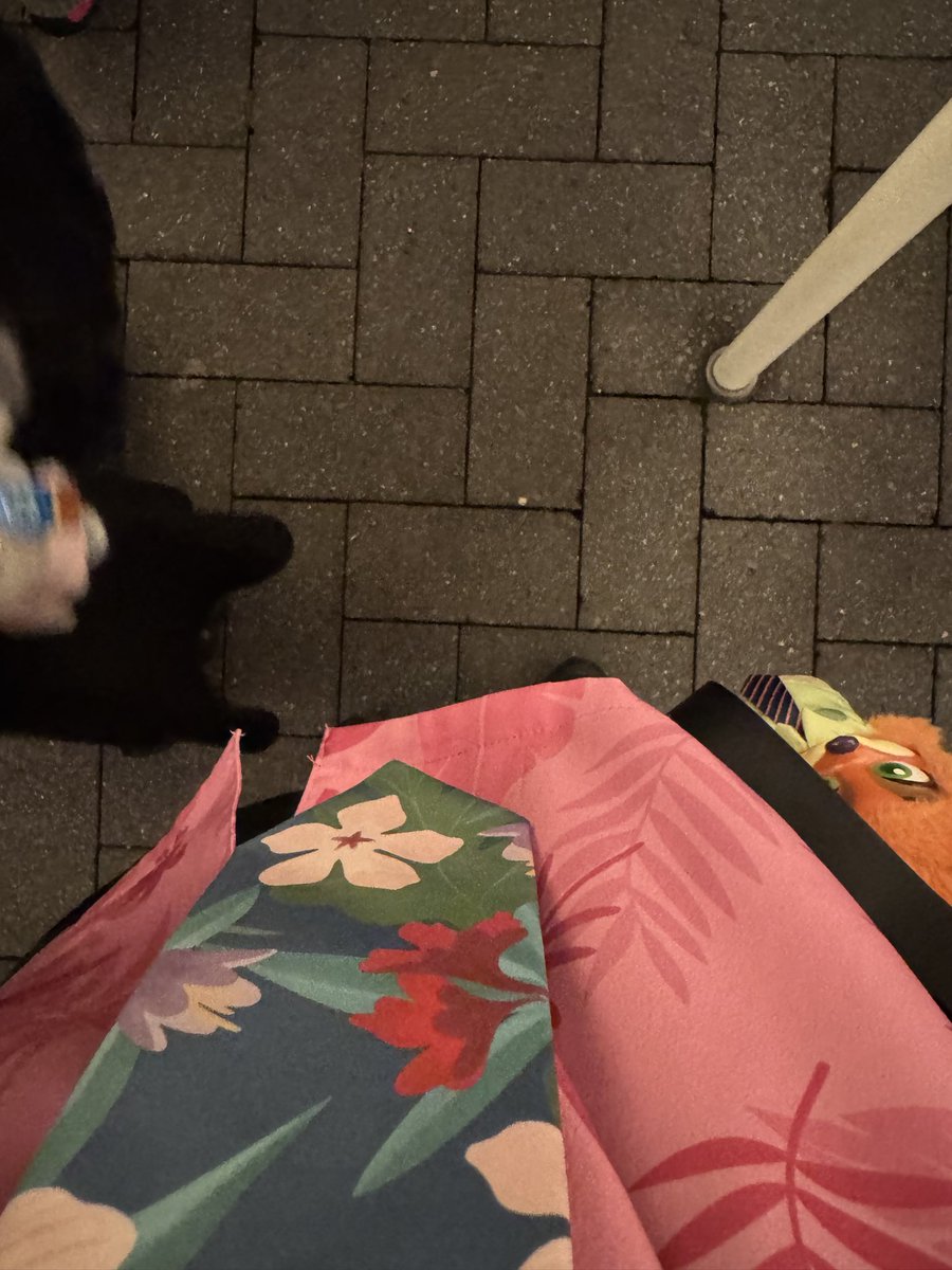tonsukedam's tweet photo. ディズニー2日目🐭
ハロウィーンのディズニーシーとアンバサダーホテルでスペシャルランチ https://t.co/TjQXdZpg3H