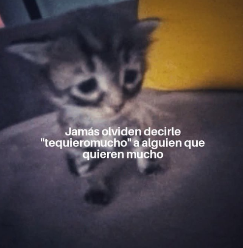 mariafemato98's tweet photo. https://t.co/LFPKTJ981J