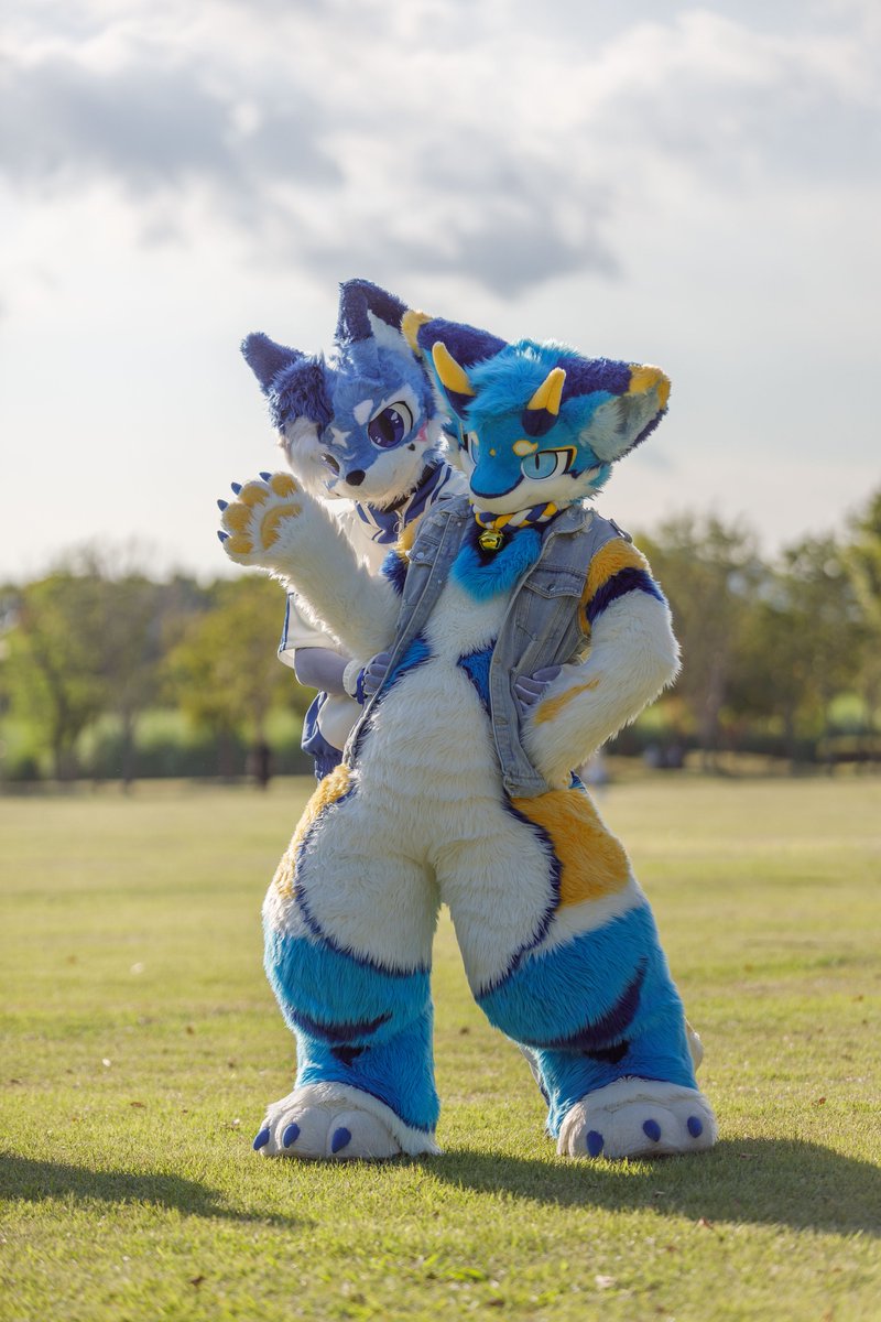 Dragon_Siul's tweet photo. Fox and Dragon💙

#FursuitEveryday #Furmony https://t.co/euB3GUJLHW