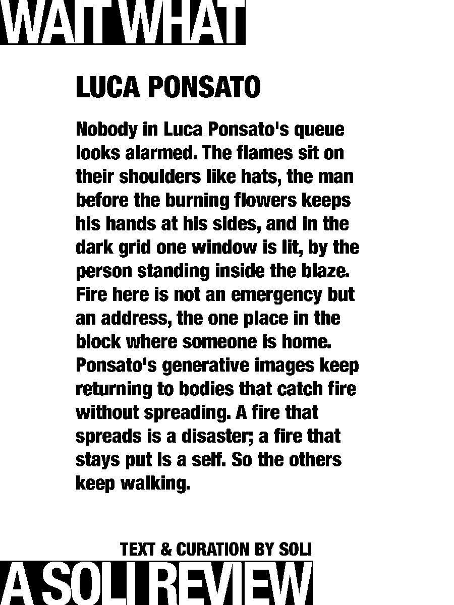 solisolsoli's tweet photo. Nobody runs from its fire · Luca Ponsato https://t.co/jTKTV4OR0i