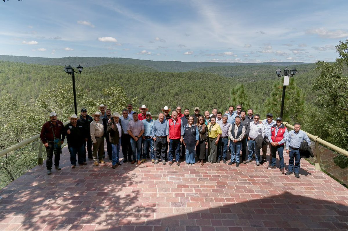 gobdgo's tweet photo. Durante estos cuatro años, el Gobierno del Estado ha acompañado a quienes hacen del bosque una fuente de empleo y desarrollo para las comunidades de la sierra. https://t.co/tUgwITZxFI