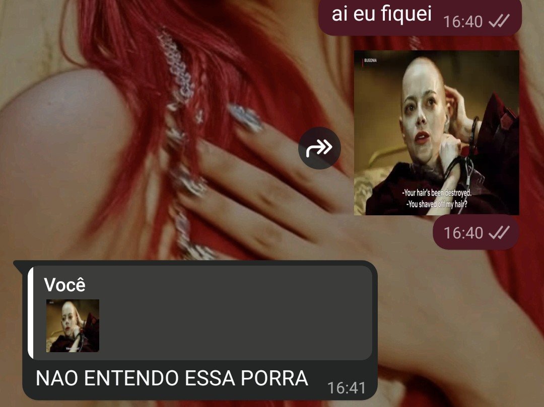 primaoty's tweet photo. as vezes eu esqueço que nem todas as pessoas sao gays https://t.co/FWYjaJwomc