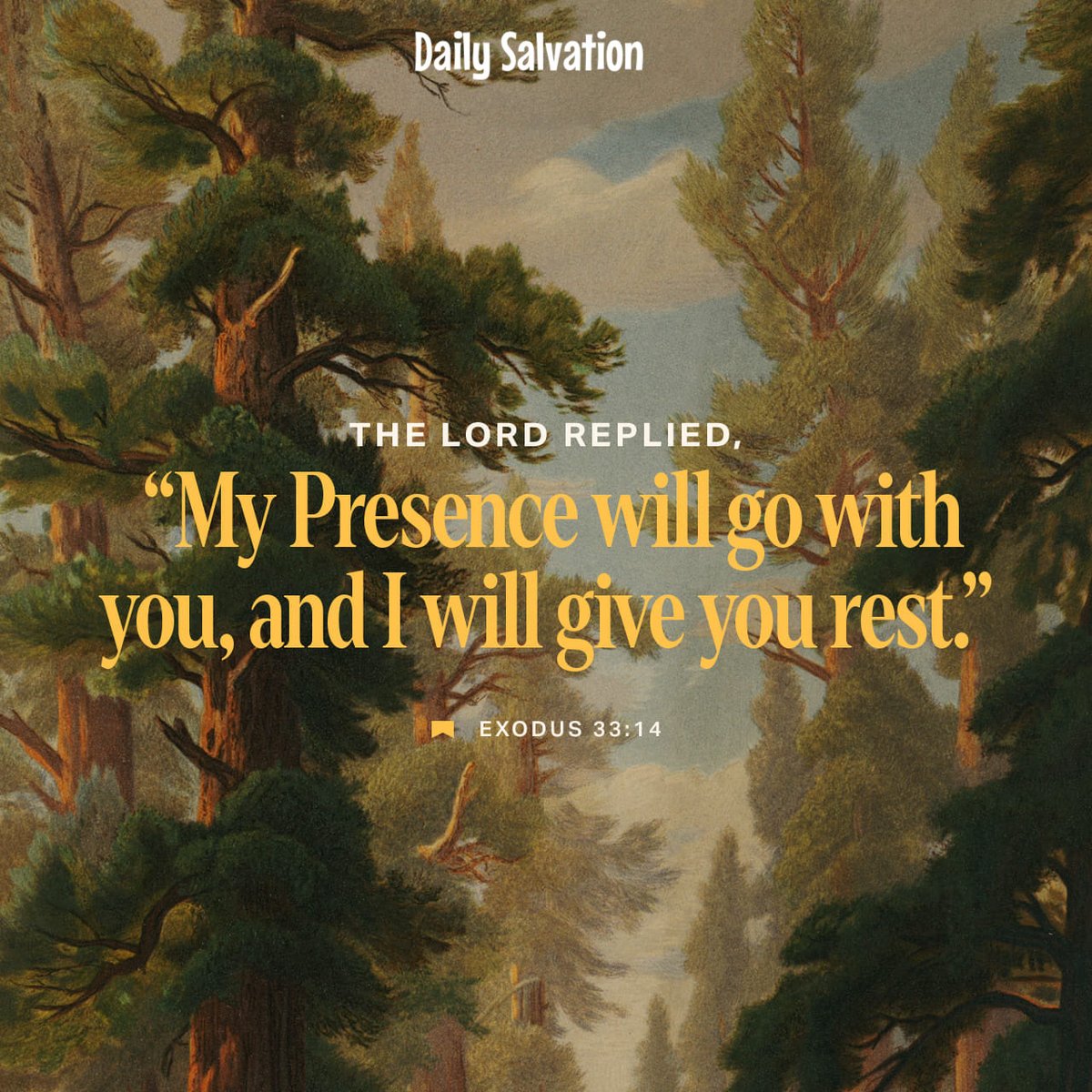 DailySalvation3's tweet photo. Friday’s Bibleverse
#bibleverse #following #fyp #explorepage #DailyDevotional #Exodus https://t.co/fjz007U7jQ