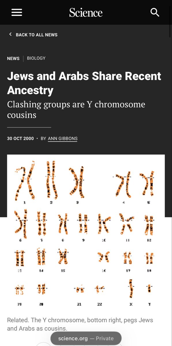 LenaElsinger's tweet photo. @76ripper @dasmadchengyal Lol.

(1) This is a notoriously fake study. See screenshot.

(2) Attached are screenshots of real studies.  You’re welcome.

(3) The most obvious giveaway that this study is fake?  A “Semite” is anyone who speaks a Semitic language, regardless of their genetic ancestry.  Oops! https://t.co/0WOZmFrOZG