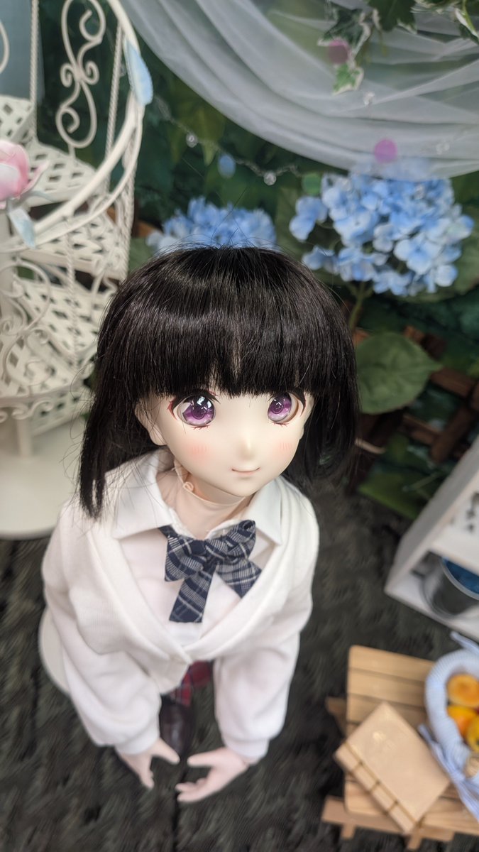 yoshikichtl's tweet photo. おはようございます。今日も１日頑張りましょう〜
#おはどる
#うちのこかわいい https://t.co/fpM9RFBA6t