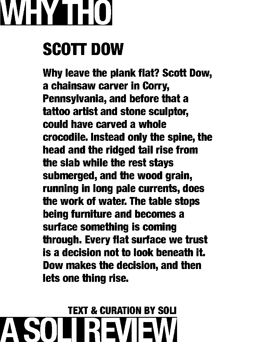 solisolsoli's tweet photo. Crocodile Bar Top · Scott Dow https://t.co/WSR9o6torb