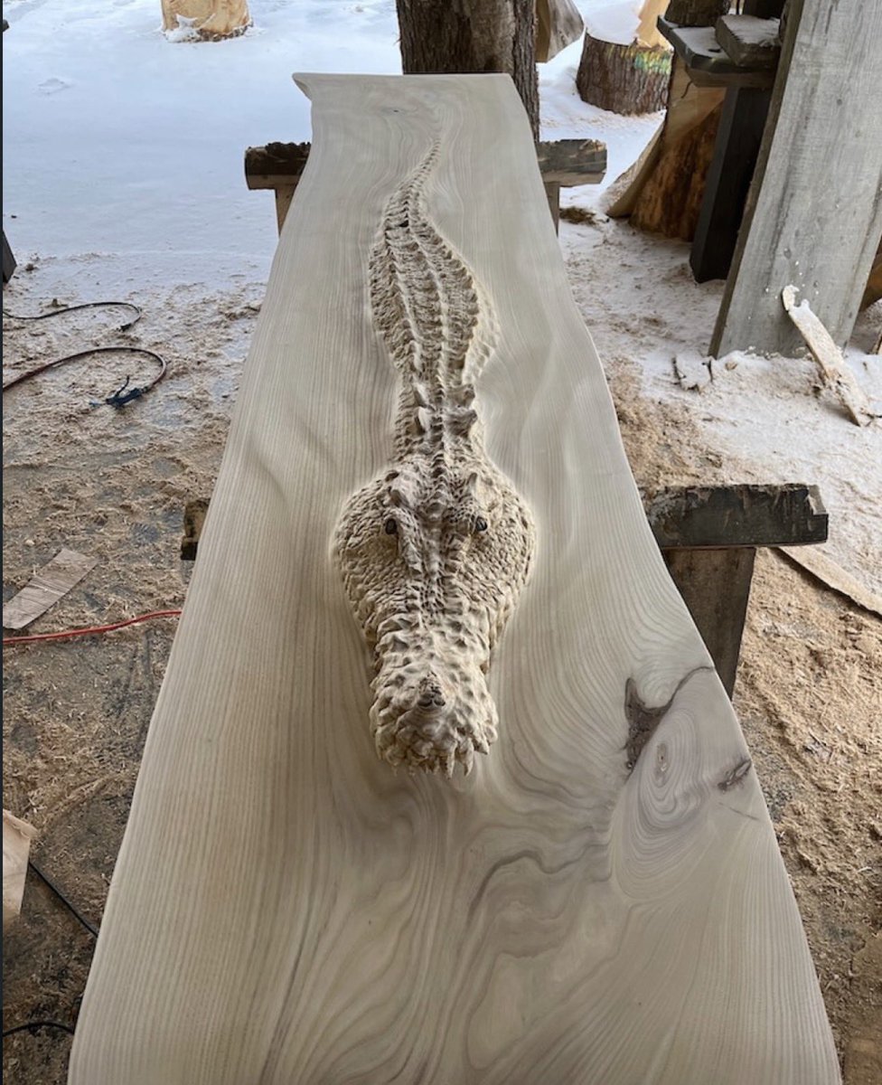 solisolsoli's tweet photo. Crocodile Bar Top · Scott Dow https://t.co/WSR9o6torb