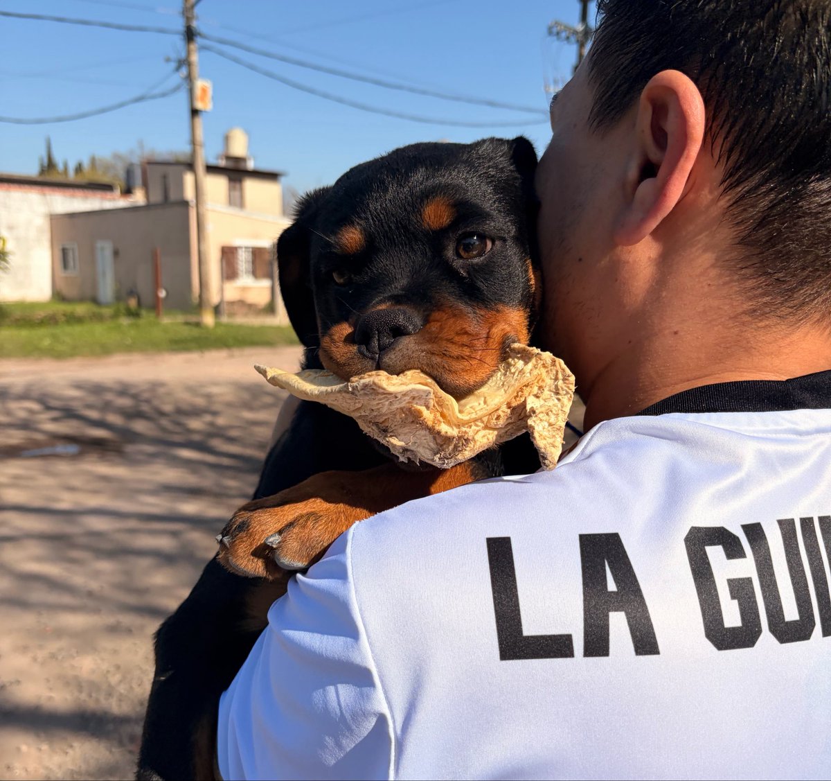 Magdda07's tweet photo. La cara de cachorra malcriada no exis… 🤣 https://t.co/mMB4qqqLHv