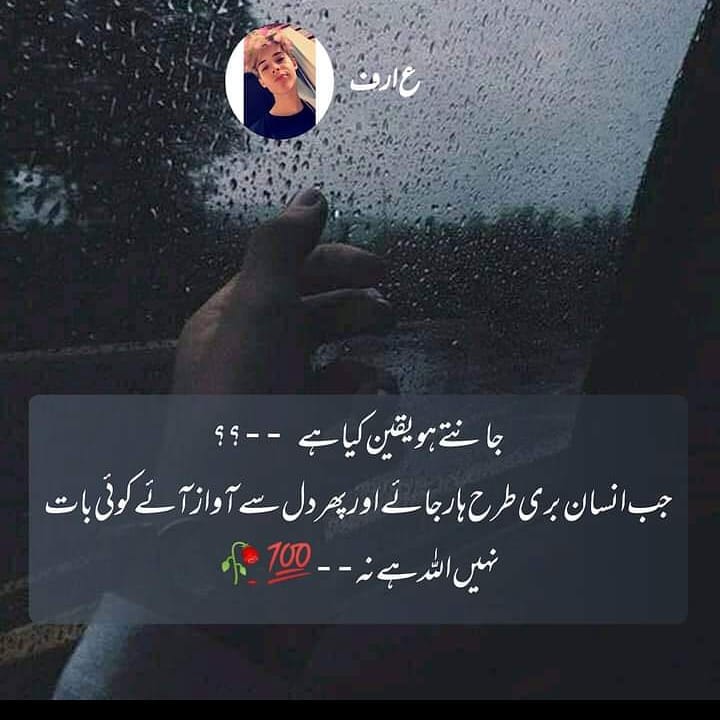 williamgreenbk8's tweet photo. In my 80s era, still shining. https://t.co/96pXUrkatW