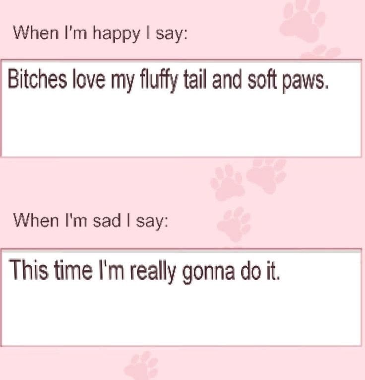 glitterkibble's tweet photo. ᐡ > ﻌ < ᐡ

hii ! i'm soi .🐾

🦴20
🦴she/her
🦴switch (sub+) 
🦴bi

#nsfwtwtًً  #puppygirl #switch #nsfwtwtًًًٌٌٍِّ 

↻  +  ♡︎ to be moots! https://t.co/nmfLLRiyHL