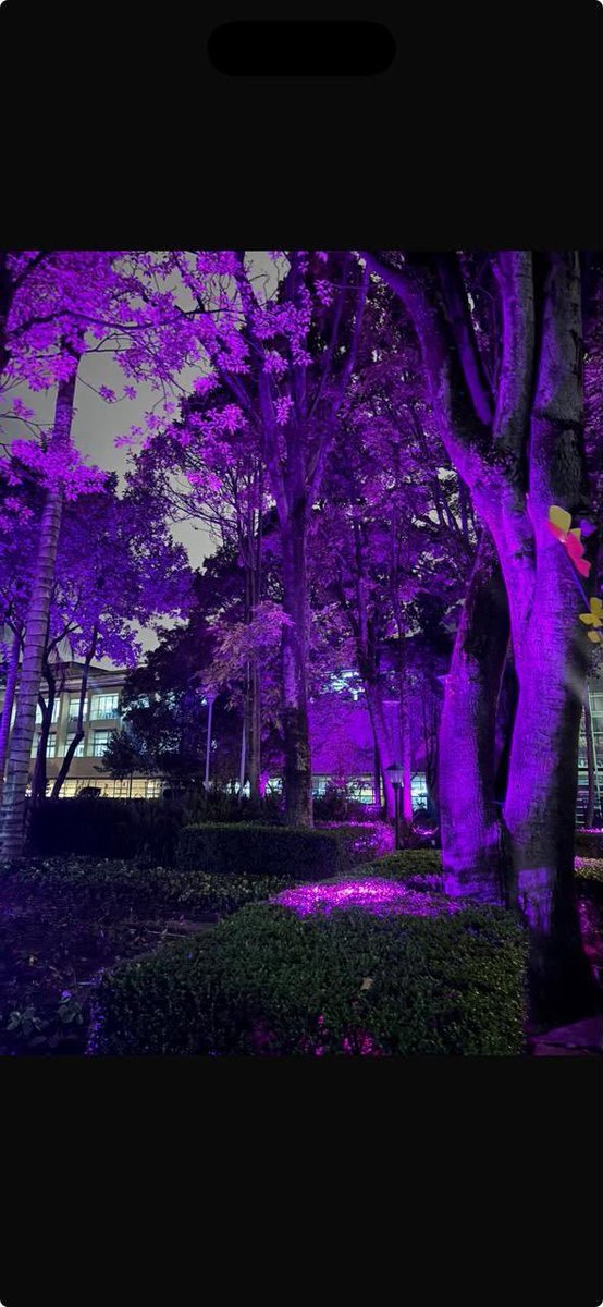 miniminibwl's tweet photo. Y TODO BOGOTÁ SE EMPIEZA A PINTAR DE MORADO, BORAGOTÁ ESTA LISTA PARA RECIBIR A BTS Y SOMOS LAS MAS FELICES DEL MUNDO https://t.co/9sJD952ADB