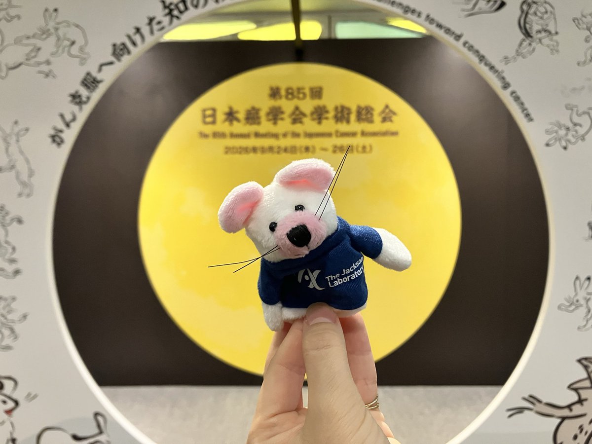 JAX_Japan's tweet photo. 癌学会でフォトブースを発見🐭🌕
皆さんもお迎えしたねずみちゃんと一緒に撮影してみて��ださい!
#中秋の名月 #国立京都国際会館 #日本癌学会 #JCA85 #JAXJapan https://t.co/HhGMuMcQ3u
