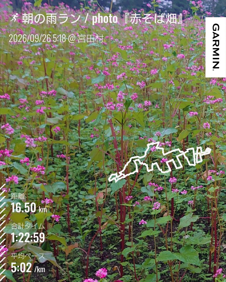 MS_104plus's tweet photo. 2026/09/26
am5:18スタート 気温17°
#朝ラン #雨ラン

どしゃ降りの雨☂️
なので、いつもよりゆったりと。
ヤッケが蒸れて汗なんだか雨なんだか
びっしょびしょ。
#ランニング #シャワーラン
#running https://t.co/ZKZrHC45XC