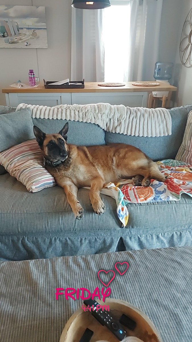 GaffordShelly's tweet photo. Surfside Beach,  TX https://t.co/ilxOp7NGVW