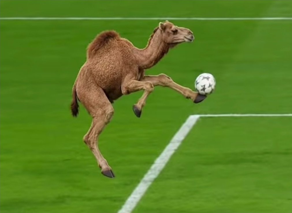 AndrewRPG47ph2's tweet photo. @omar_alshbrm No se crean gente  es claro que esta editada 

                          Esta es la foto real https://t.co/h4Iu1M5I8j