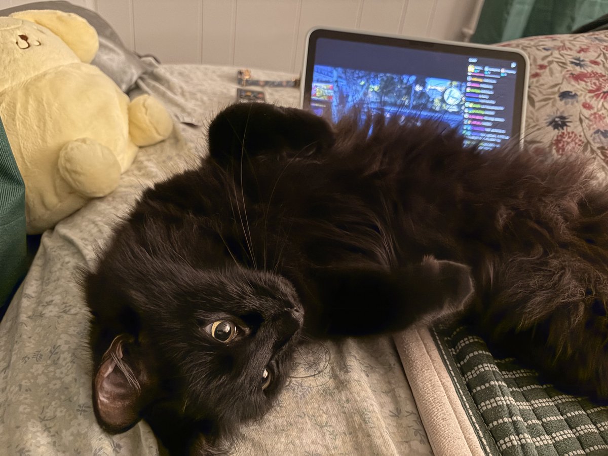 teiawashere's tweet photo. Trying to distract me from my Jerma stream https://t.co/pI0If6kOGA