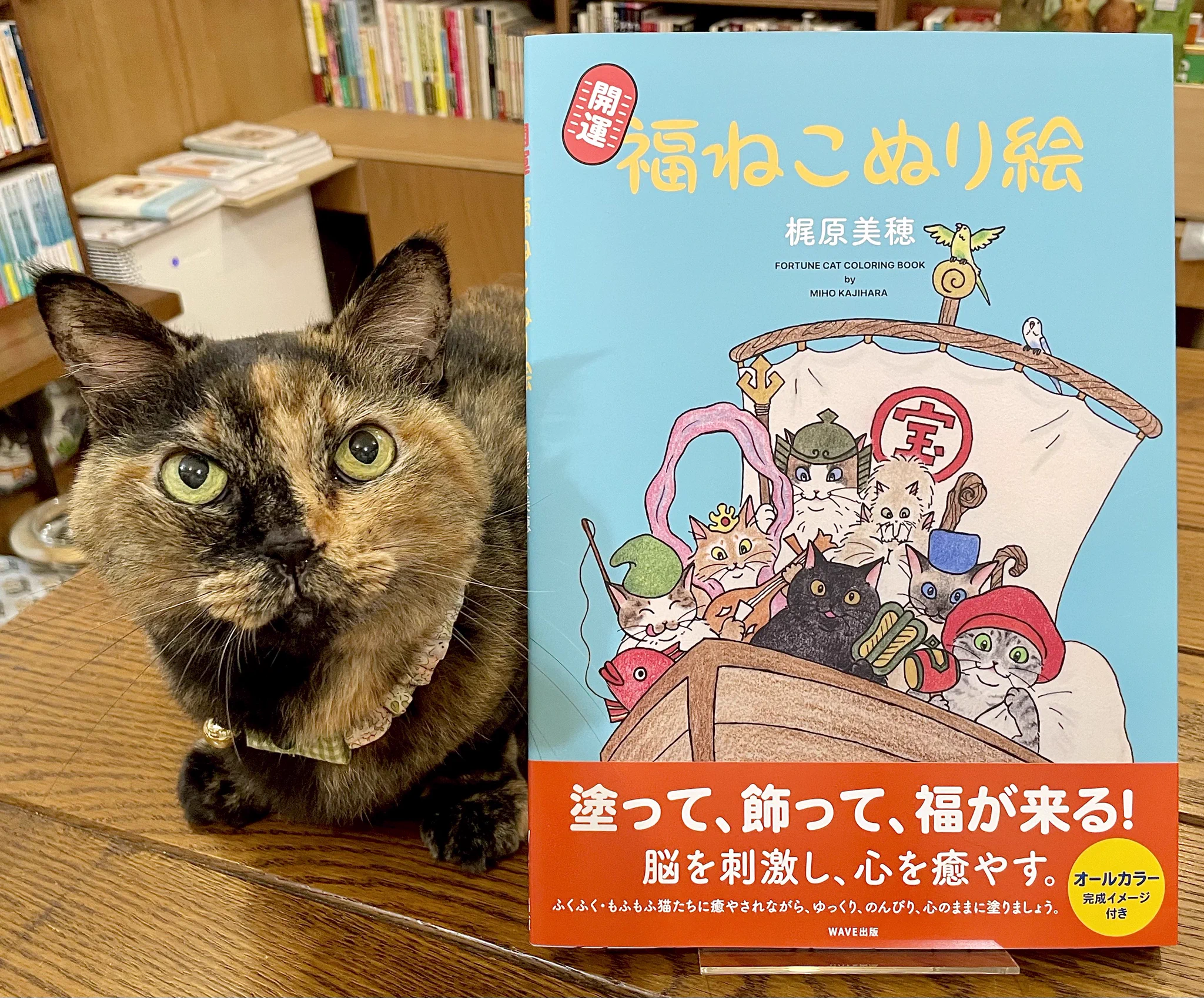 キャッツミャウブックス® on X: 