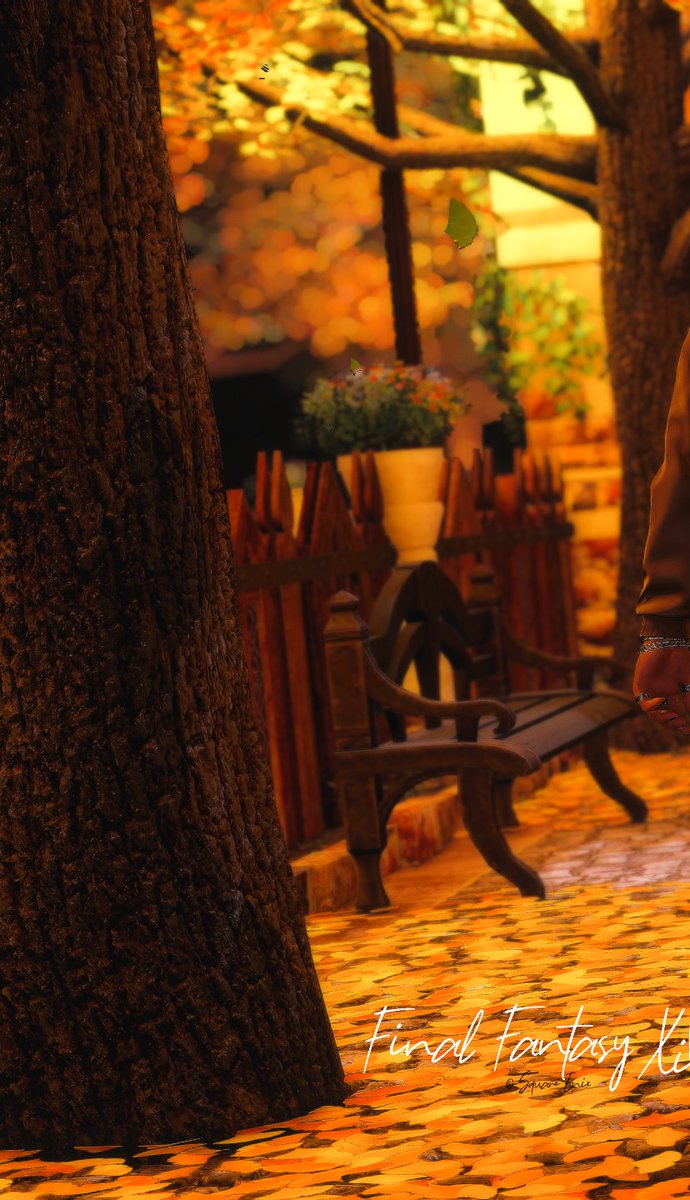 harwellxiv's tweet photo. 秋のお散歩
#ゼロムス並木道 #FF14SS https://t.co/pzBuJhkEao