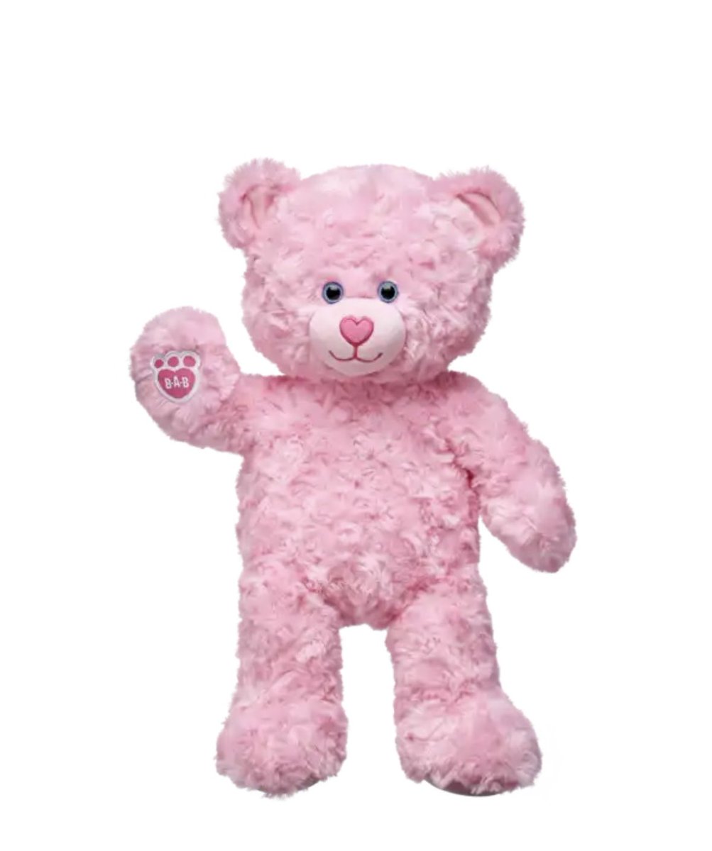 marcusolsen1995's tweet photo. I'm thinking of buying this teddy bear—Sofie Olsen, as she's going to be named—and getting a Poké Ball hoodie for her too. @buildabear #buildabear #dk #fyp https://t.co/HZrz9zmZZd