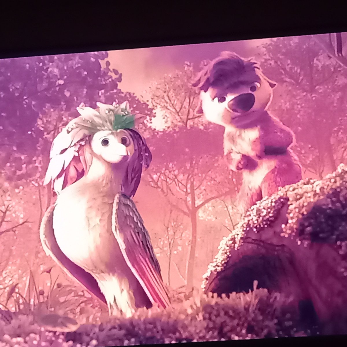 LeidyCasti71718's tweet photo. El nene me hizo ver la bendita película #nadiecomonosotros https://t.co/6ogT6aSYY2