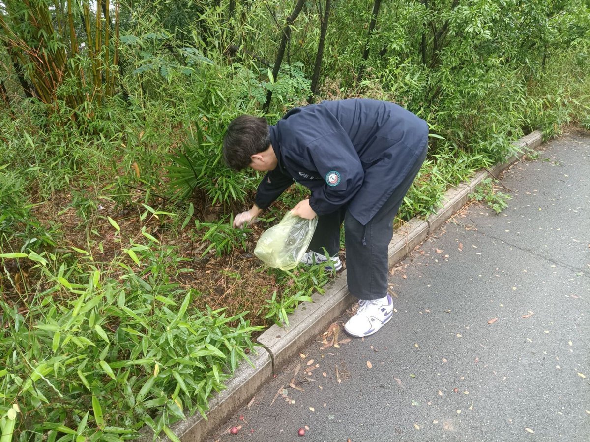 SunSolinatz20's tweet photo. Join our neighborhood park clean-up this Sat 9am! Free snacks u0026 new friends await – let’s make our community greener together! https://t.co/eGlelwvvLe