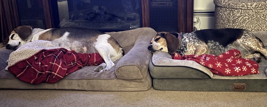 TwoBeags's tweet photo. We is waiting for da big storm https://t.co/fCWseWeq6t