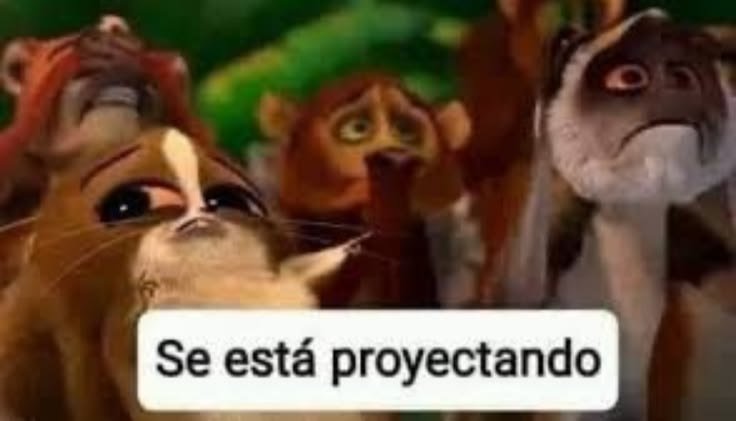 lixietinycat's tweet photo. Amo los memes d proyectarse https://t.co/lnAkkbq0F6