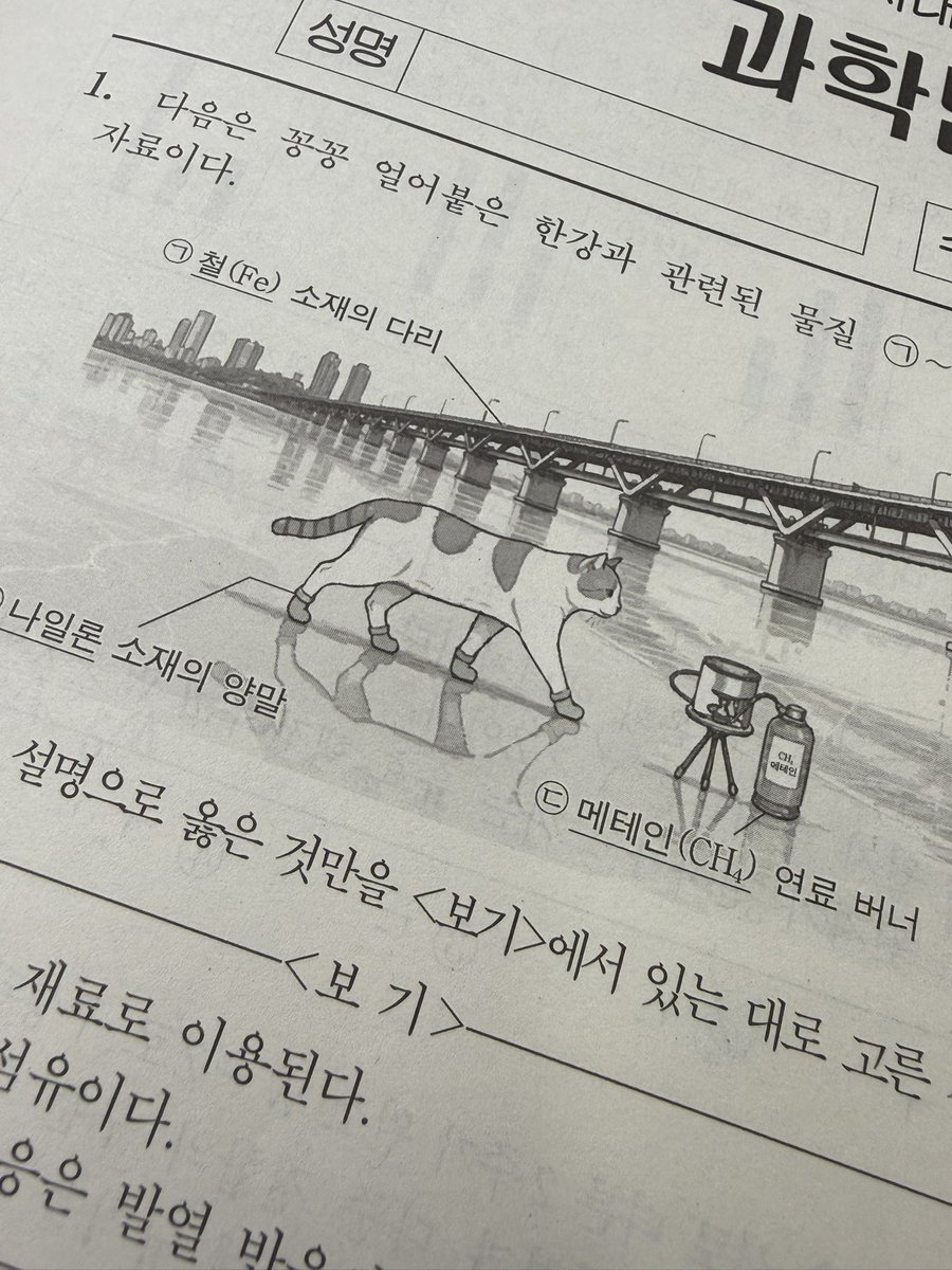 lifroab's tweet photo. 요즘 화학 서바에는 꽁냥이도 나오고 귀엽네요 https://t.co/rhLoBYWYUG