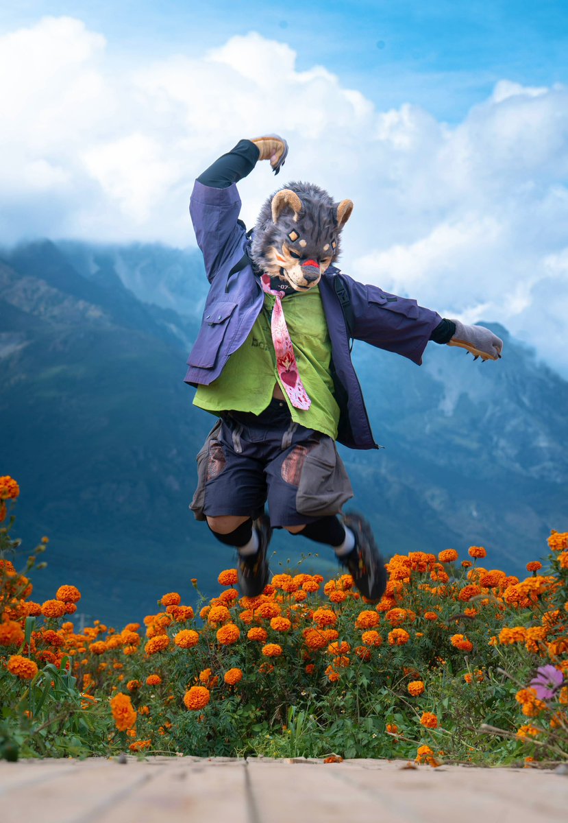 ElroyTigerLee's tweet photo. Gambol
📷：@woof_snow 

#Fursuit https://t.co/urWelXjcF5