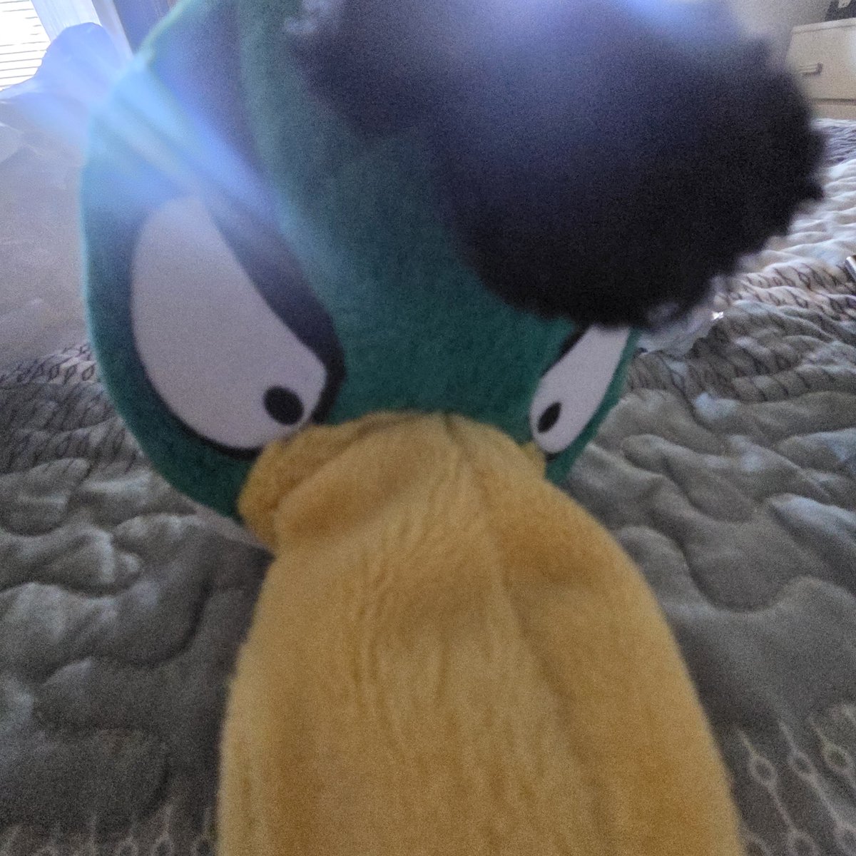 skyxhal's tweet photo. I finally got Hal🥹 https://t.co/6mhmi3oNMf