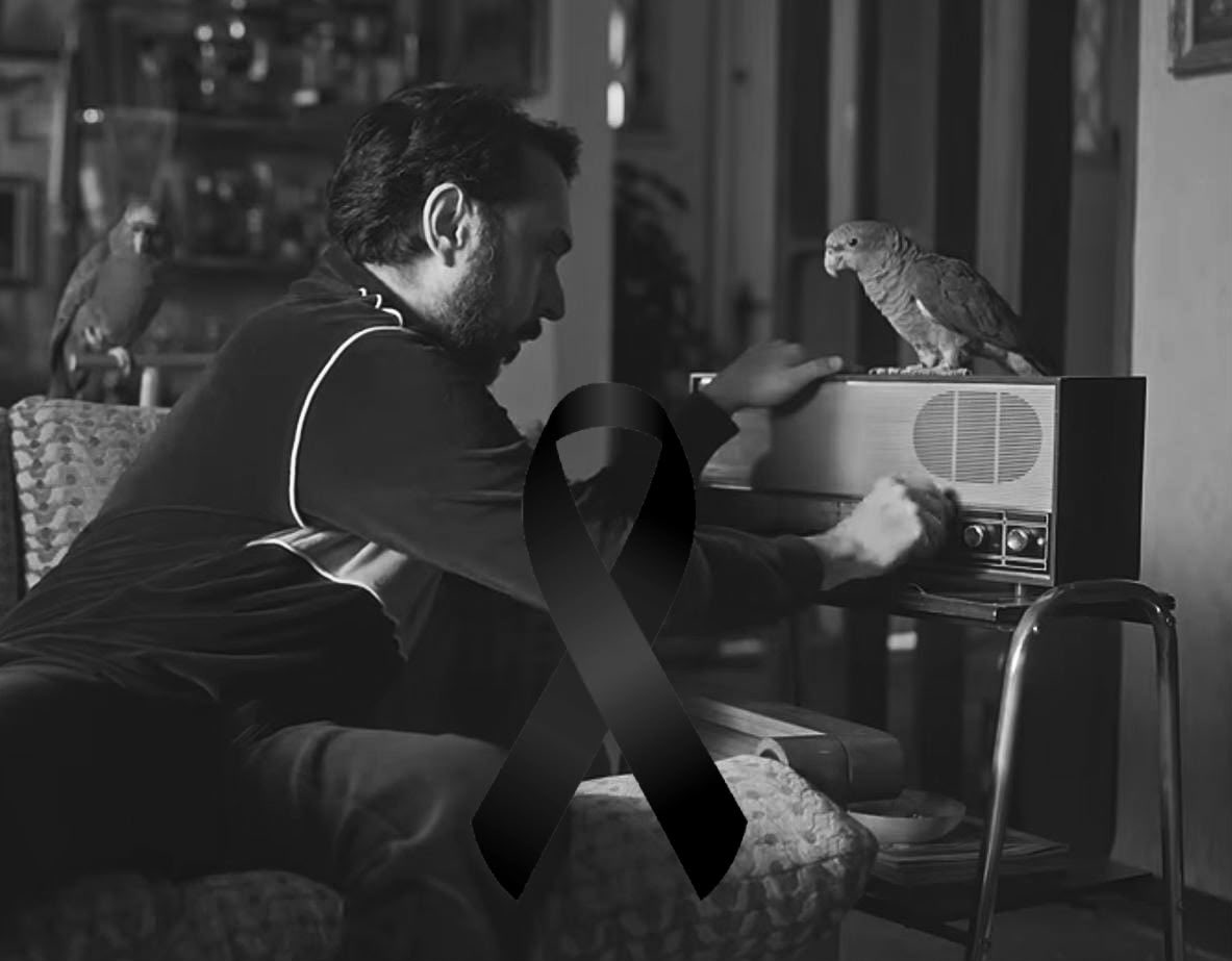 terklrd's tweet photo. R.I.P Papagaio da betano 😭🦜 https://t.co/fkbXN3NHXx