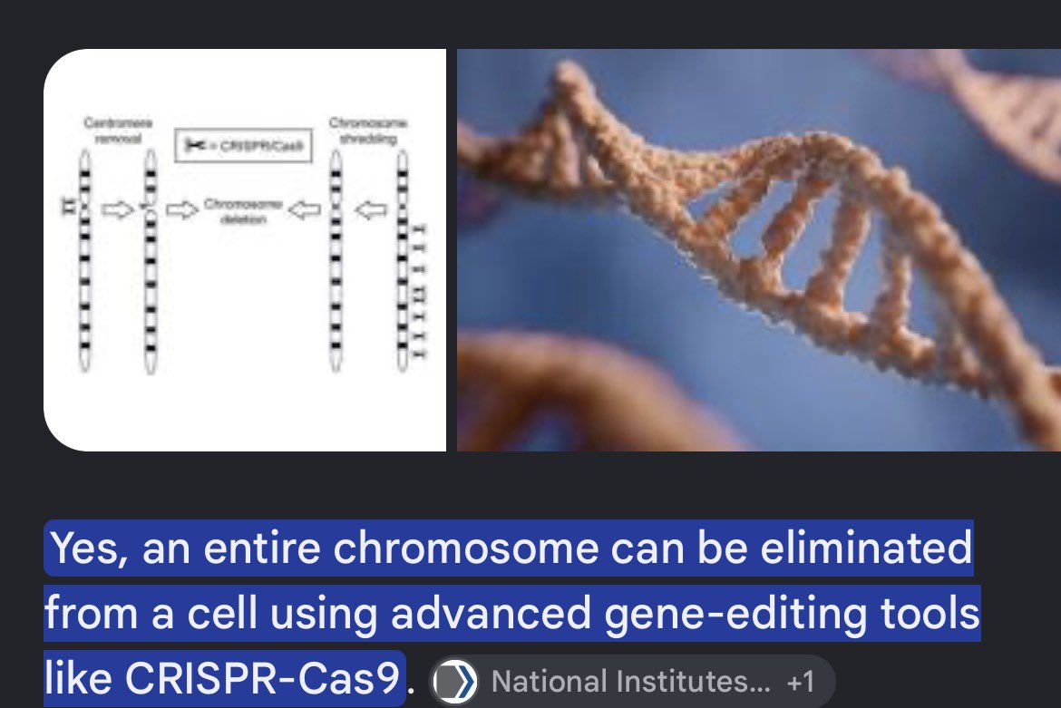 Gagosaurusssss's tweet photo. @lifeof_dubem @Creathievez62 It’s true, scientists are the best.. it’s effective on X &amp; Y chromosome for Trans people.
@Creathievez62 is just a bird-brained, airheaded dummy using sorting to pass. Anywhere you see the Temu non-binary doctor @Creathievez62 in any hospital, run. 🏃🏾‍♀️ https://t.co/ZrfNFjXYdT