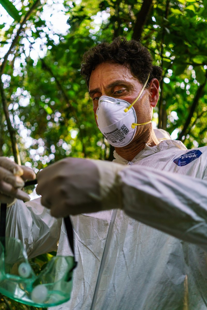 kidikidi_bang_'s tweet photo. [Simple English tweet: "Proud of the hardworking medical staff fighting malaria, keeping us safe by warding off contagious threats!"] https://t.co/tx2d1rnaRA