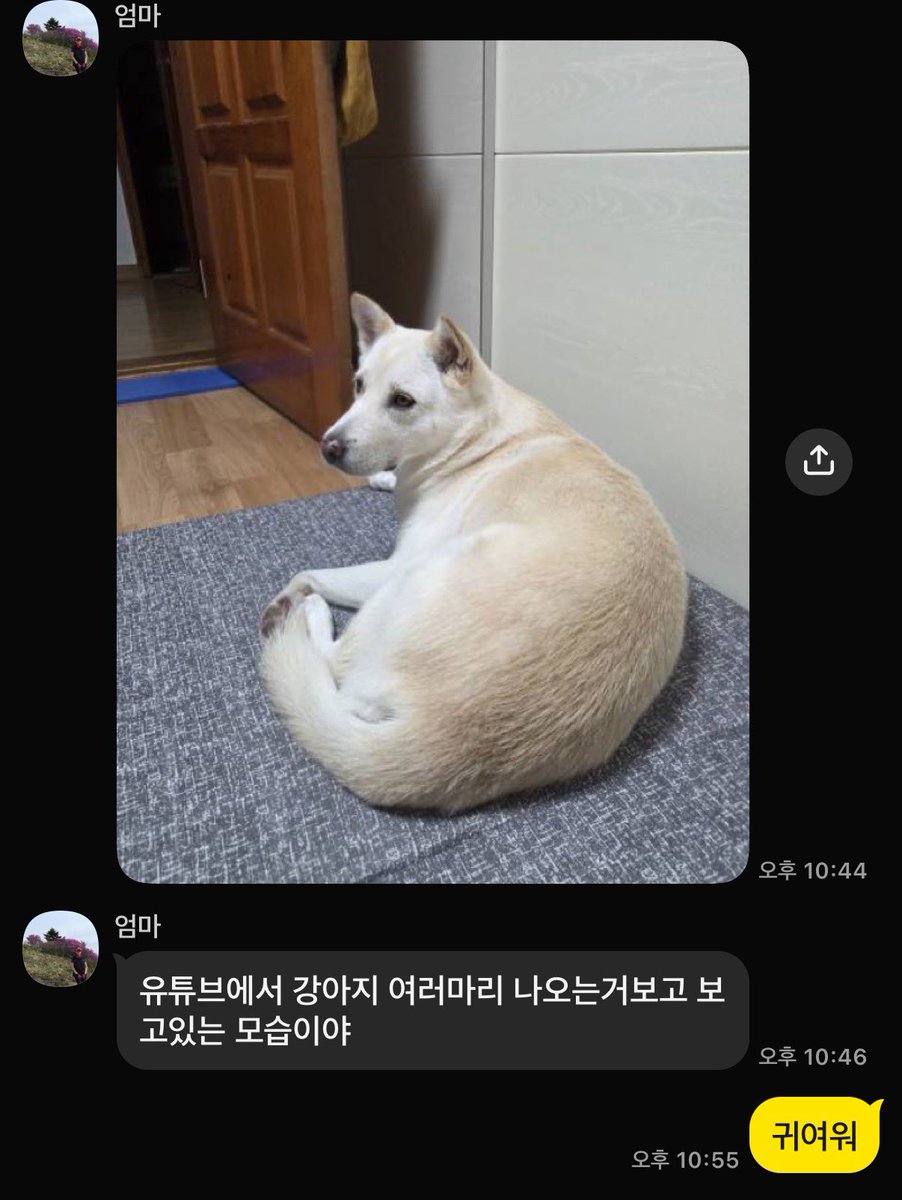 verygodanhada's tweet photo. https://t.co/YkXulnqGYp