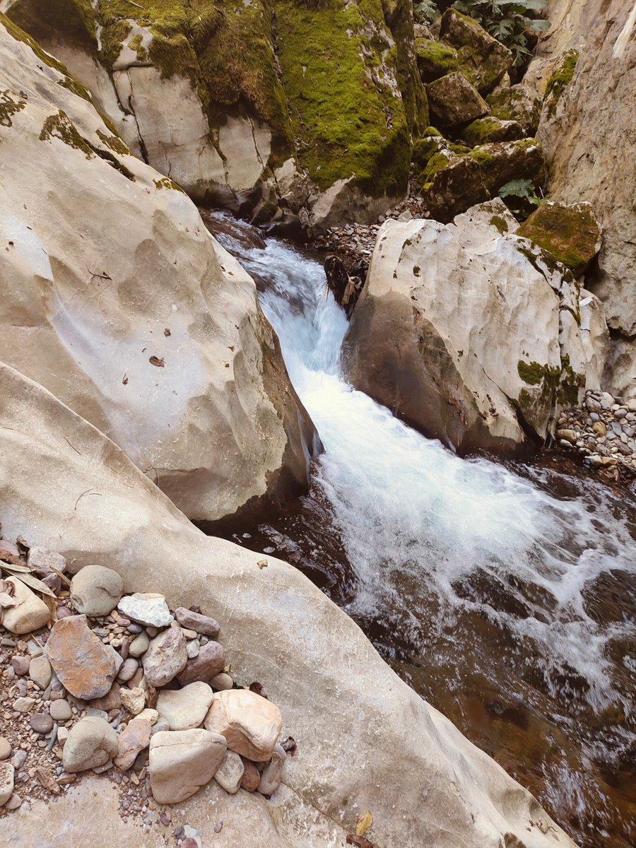 BennettSta9h's tweet photo. [Este río con orillas salvajes, no me importa romper cosas por atravesarlo con valentía.]， https://t.co/9K1q2vVj1X