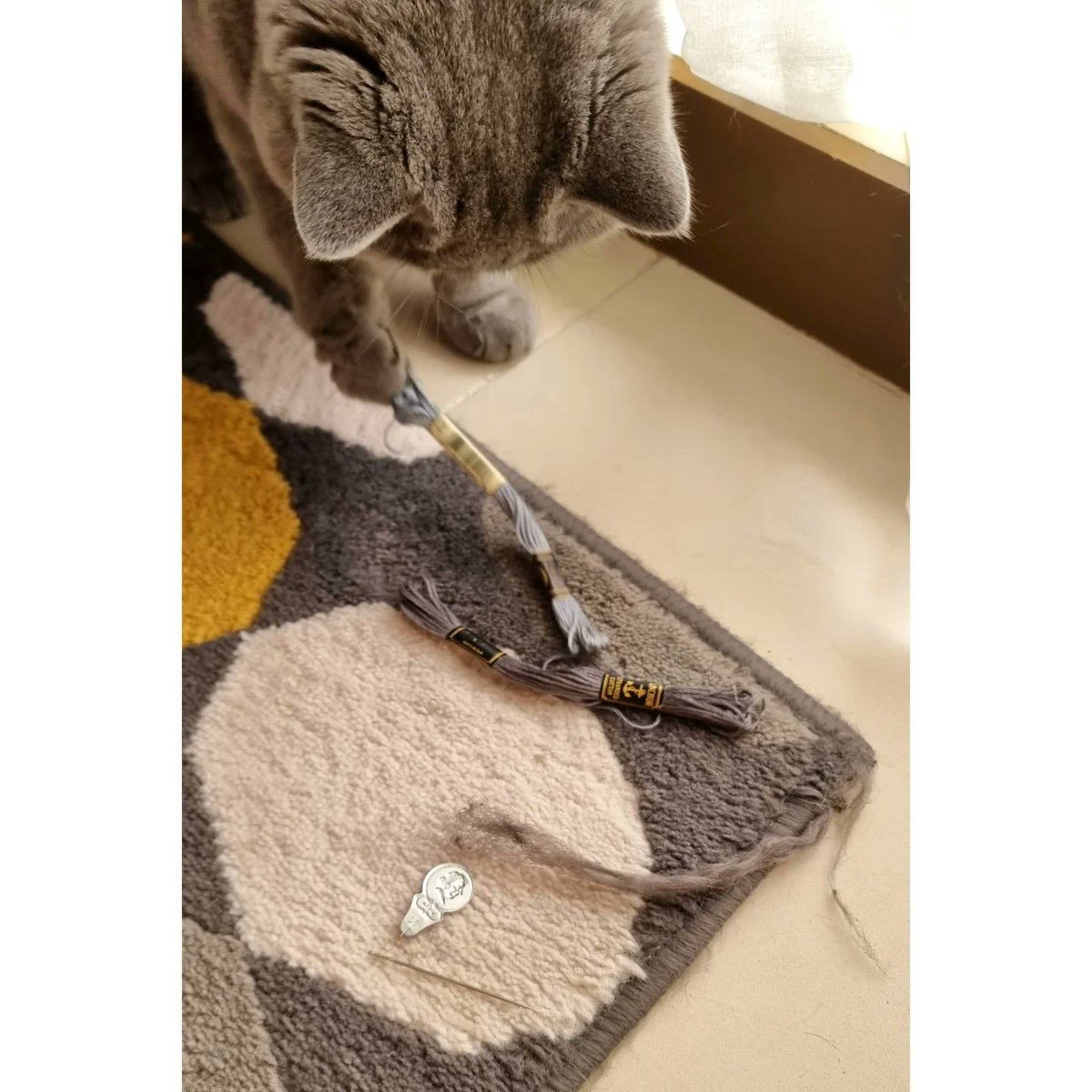 harperhernogmn's tweet photo. Mommy wonders which alternate universe has pretty houses and cats. https://t.co/7RilO43FnL