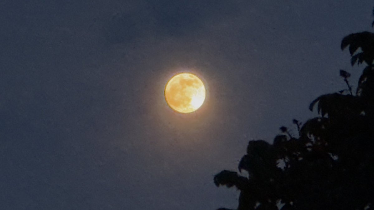 phadrii's tweet photo. Ya salieron a ver la luna 🌙 https://t.co/86deU2rtgx