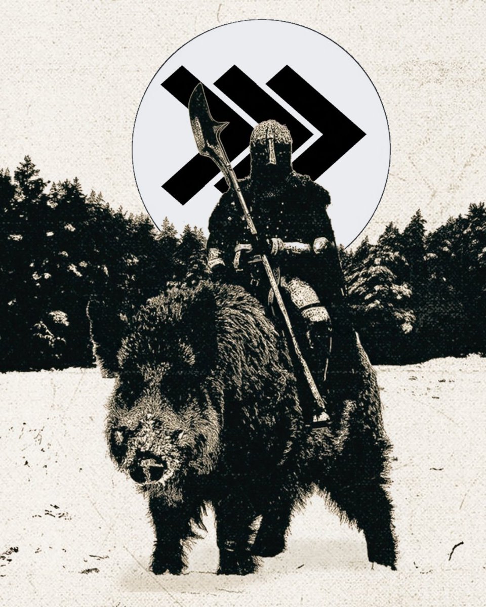 DixieHorseshoes's tweet photo. We do not yield. 

@NSAWP_  will not be silenced, defamed, or torn apart by those who wish to conquer us. 

Choose your side. Choose NSAWP. Choose America. 

🔗 In Bio https://t.co/1pSO3DMyIi
