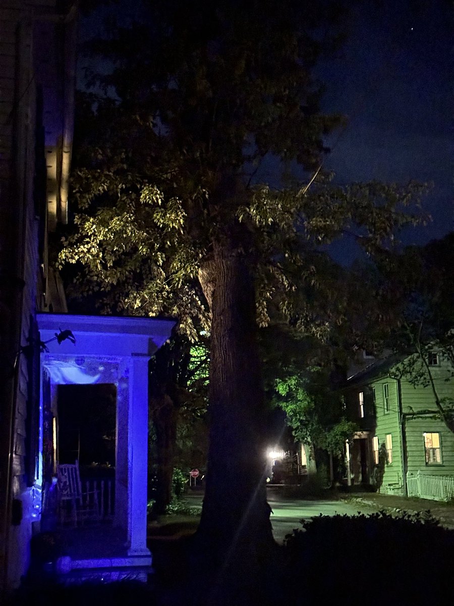 Zanejwv's tweet photo. Spooky season has arrived https://t.co/8X5ZAyWqwN
