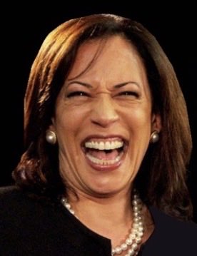 KimTruth45's tweet photo. @groth1945 I think I’d rather get nuked thsn have to hear @KamalaHarris  campaign again! 
No Captions Needed!
Can still hear that cackling Voice!
#GodHelpUsAll https://t.co/ki4kk5IaS3