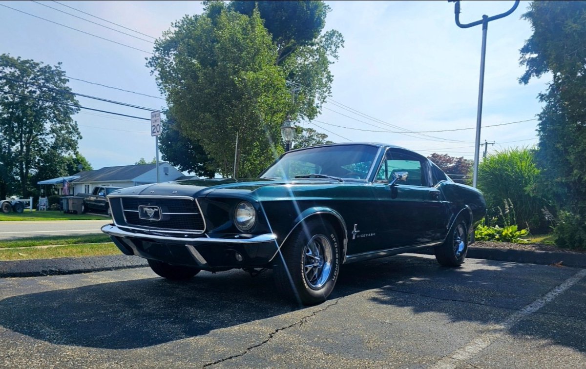 XRPcook's tweet photo. #mustang https://t.co/rj4hd2Qe0H