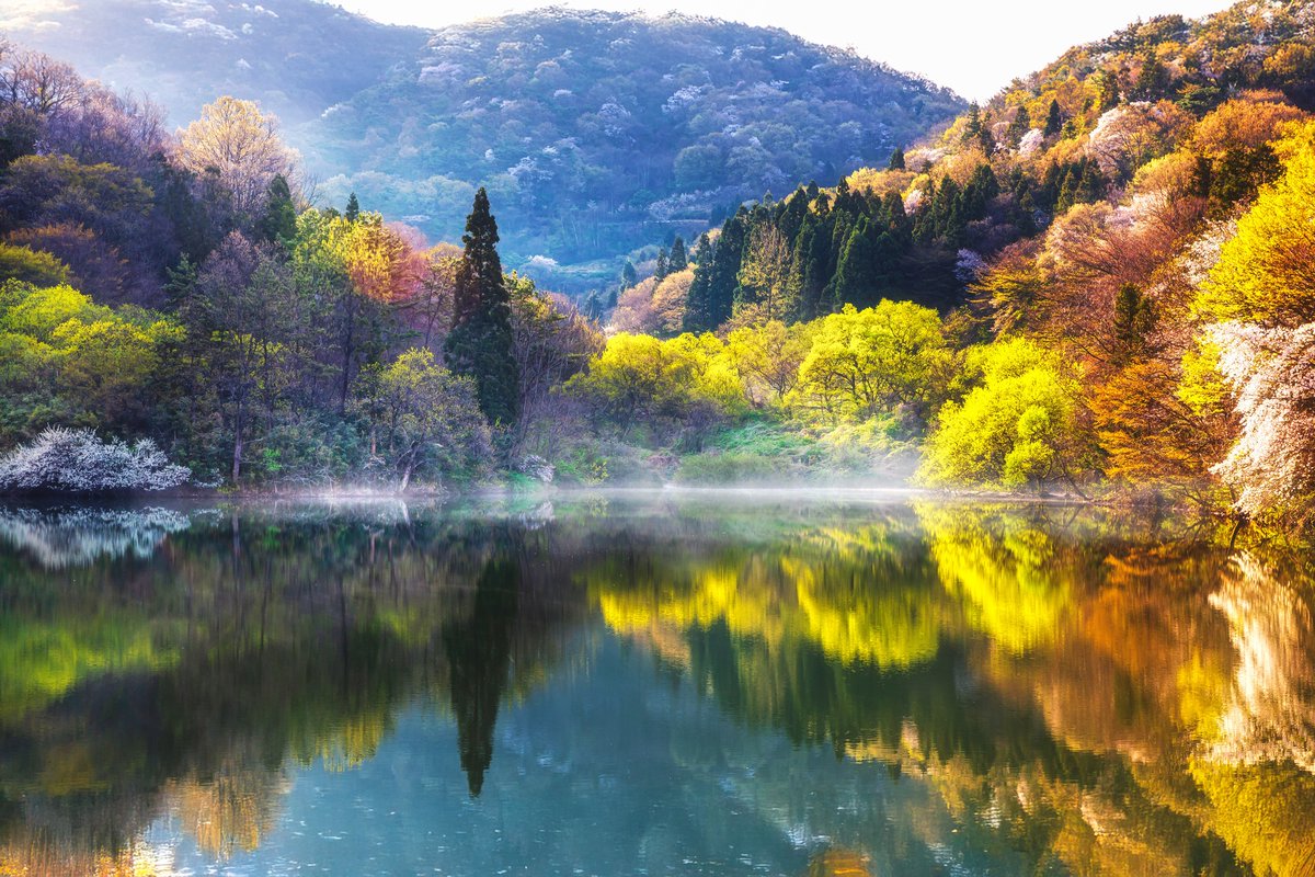 hannahmitc6tls's tweet photo. Spring at Seryangji Lake https://t.co/gWD9S3Qd3U