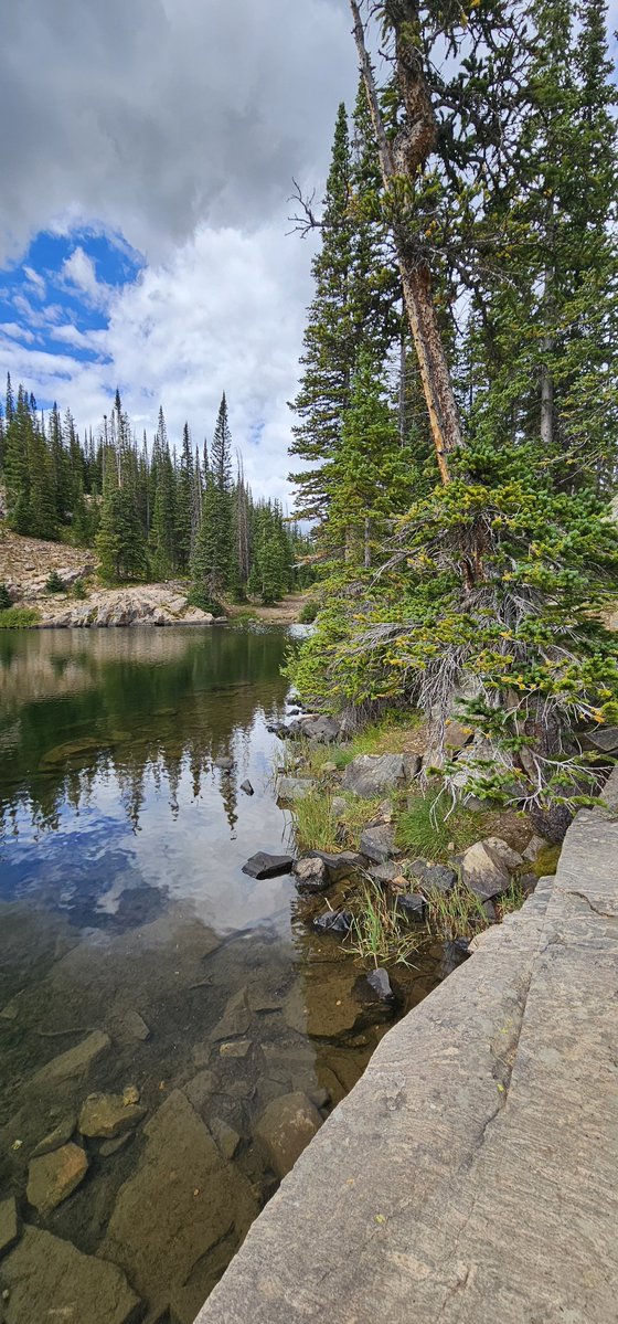 OffRoadCampBoys's tweet photo. The wilderness is always on my mind... https://t.co/swhvWm2LXI