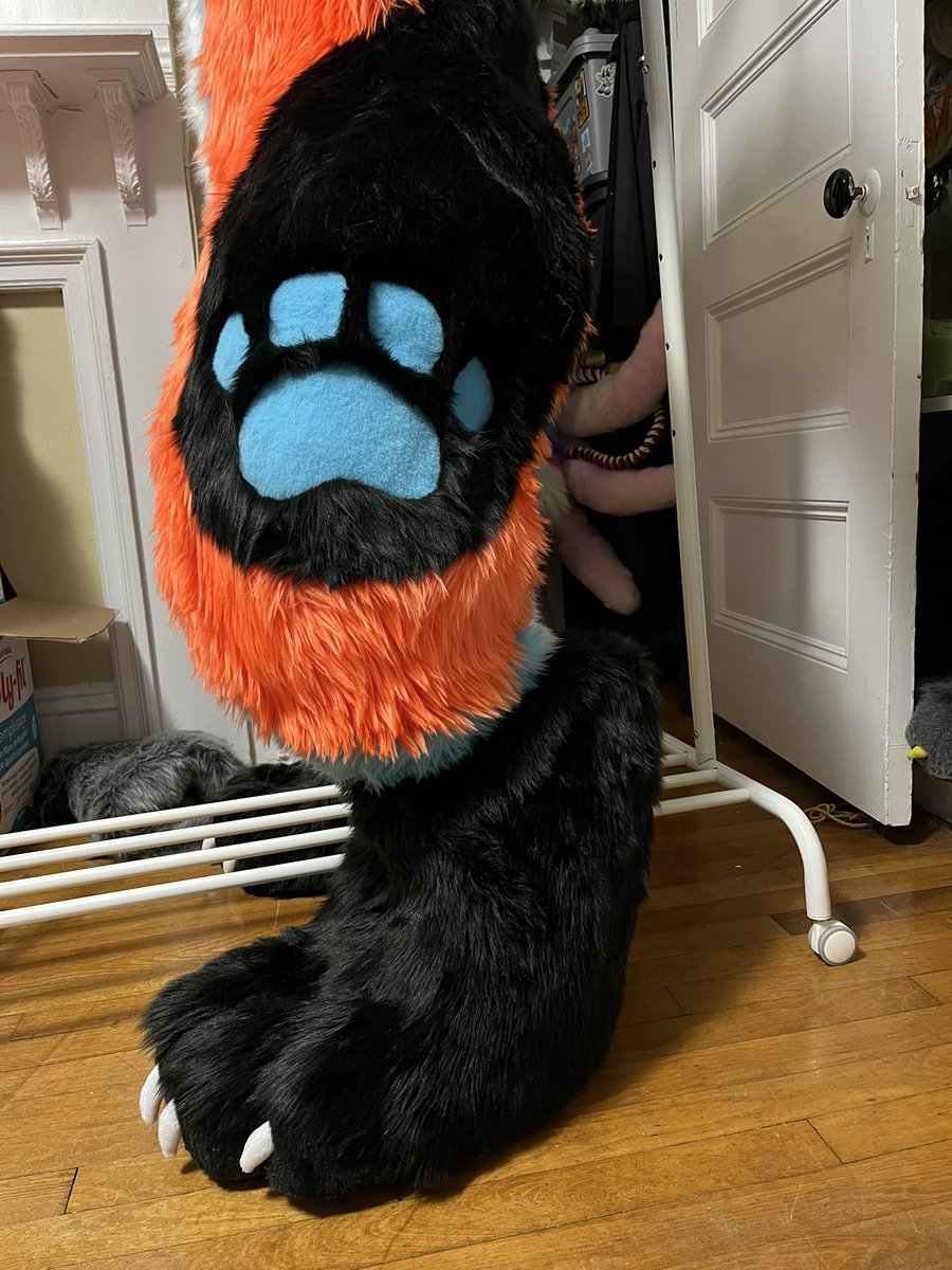 splashSWS's tweet photo. Fullsuit of Tokala! He features 6 zippers, very travel friendly :3 

#fursuit #fursuitmaker #fursuitcommission https://t.co/VFY1Btt9Ew