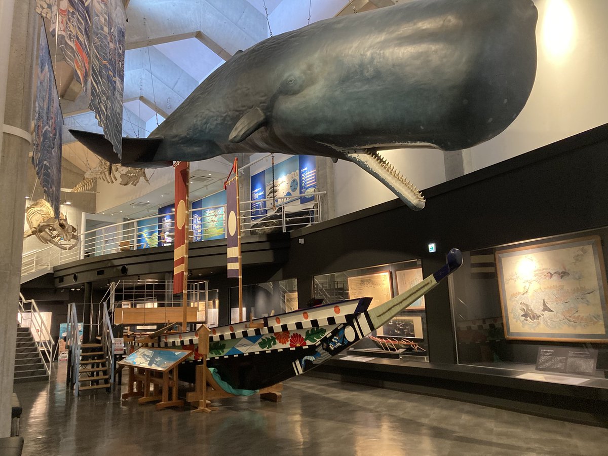 KM18740168's tweet photo. 8年ぶりに鯨館へ行きました！

室戸は土佐の捕鯨発祥の地として古くから栄えてきた町で、室戸と鯨は深い関わり合いがあります。

ここでは、捕鯨や鯨についてデジタル技術を使いながら当時の様子をわかりやすく学べます！
VRは一時停止中で残念でしたが、相変わらず面白い施設でした！！ https://t.co/KUjl5E9O7l