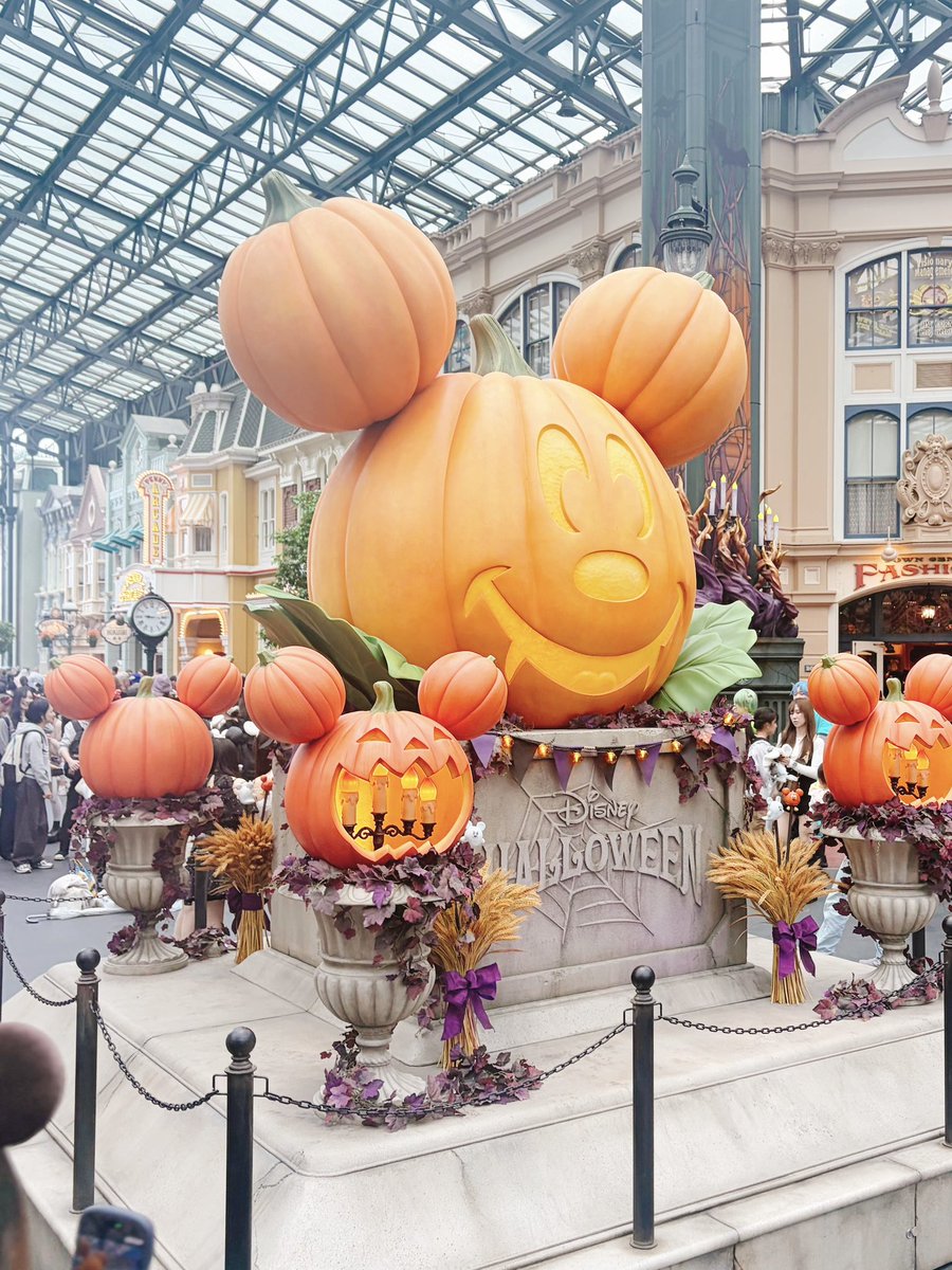 ageha328's tweet photo. ✨🎃 https://t.co/KnxXGr4dZp