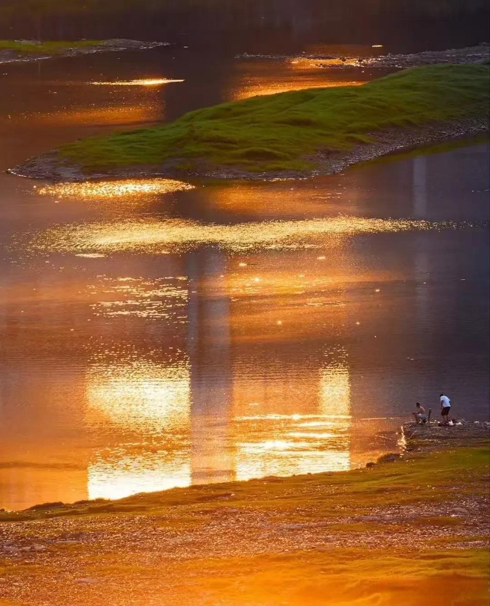 SheldonSieox5n's tweet photo. [Campus Photography Club’s Sunset Shooting Session this Fri 5-7PM at the Central Lake! Bring your cameras, chat with fellow shutterbugs, and snap golden hour views—sign up via the link in bio now!]， https://t.co/nPq2a8nKgH