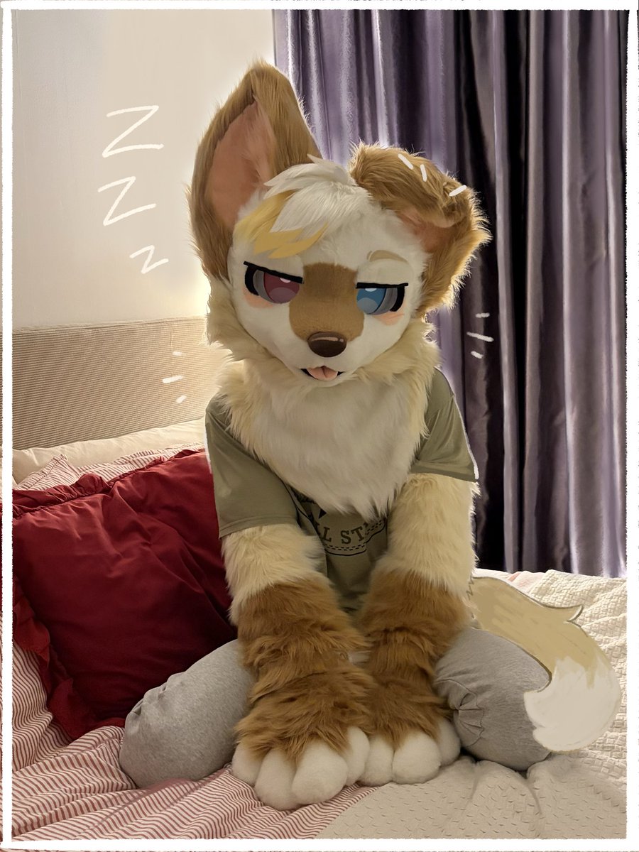 MeteorMutt's tweet photo. suit Friday. soup https://t.co/xWLbazmQBB